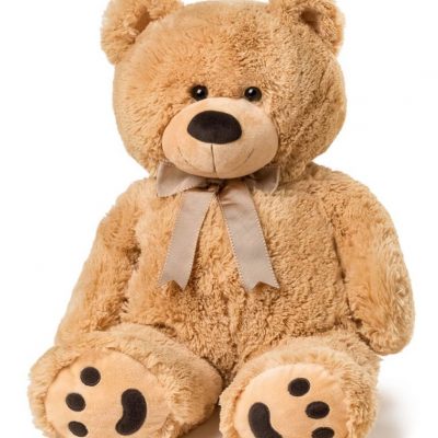 teddy 2